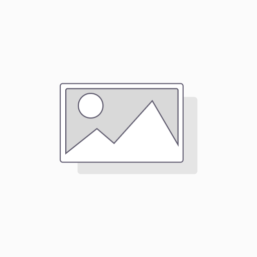 ASIC fee